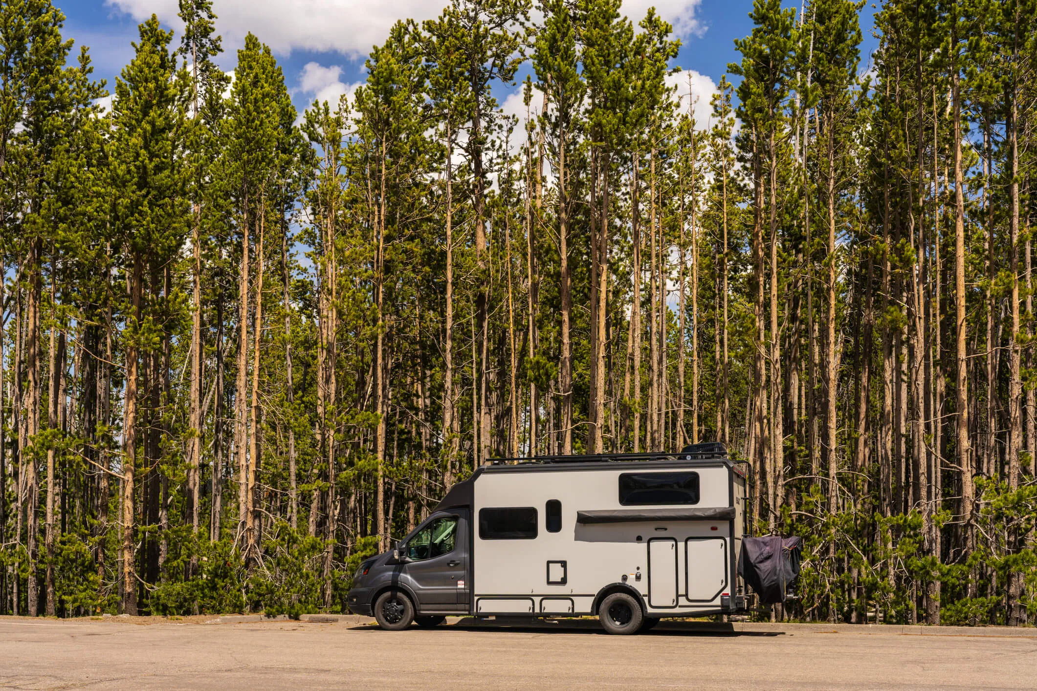 Compact camper van parked in front of a tall pine forest under a blue sky