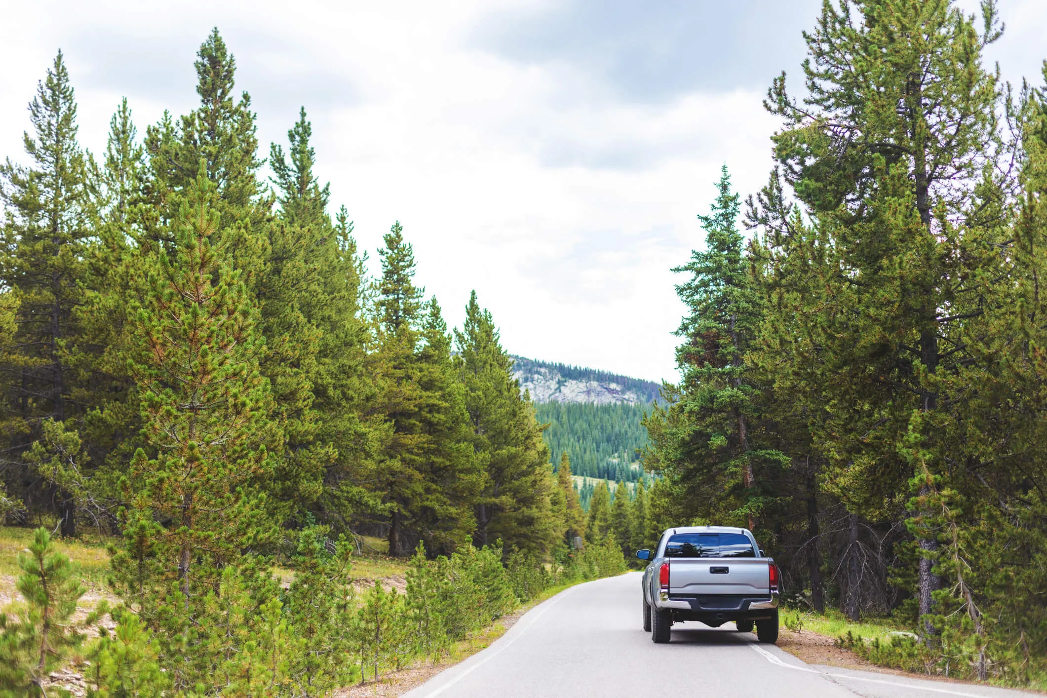 Pickup truck cruising a scenic two-lane road lined with evergreens in the mountains.